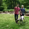 aaronbebeau - @aaronbebeau - TikTok