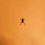 Aaron Becerra - @aaronbecerra805 - Instagram