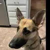 bechtoldjeremiah - @bechtoldaaron - TikTok