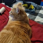 Aaron Beckwith - Facebook