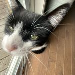 Aaron Bedard - @abedard4 - Instagram