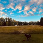 Aaron Beecher - @lb__farms_1956 - Instagram