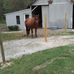 Aaron Beeks - Facebook