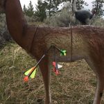Aaron Beers - @aaronbeers78 - Instagram