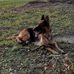 Aaron Behner - Facebook