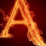 Aaron Beier - @aaron_beier - Instagram