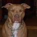 Aaron Beighley - Facebook