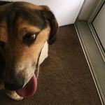 Aaron Belcher - @aaronb0990 - Instagram