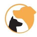 AARON & BELLA for dogs & human - @aaron.and.bella - Instagram