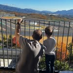 Aaron Bellingham - @bellingpig - Instagram