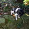 Aaron Bellisario - @aaron.bellisario - TikTok