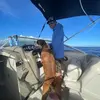aaronbement - @aaronbement - TikTok