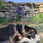 Aaron Bemis - @snoopy_kill420 - Instagram
