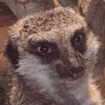 Aaron Benefield - @duderocks007 - Instagram