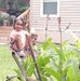 Aaron Benefield - Facebook