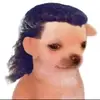 aaron_benner - @aaron_banneer - TikTok