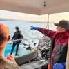 aaronbenner68 - @aaronbenner68 - TikTok