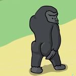 Aaron Bensman Jr. - @vibemonkay - Instagram