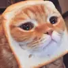 Aaron_Benzel - @aron316 - TikTok