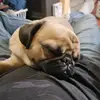 aaronberdahl182 - @aaronberdahl182 - TikTok