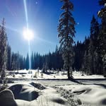 Aaron Bergen - @bergsyyc - Instagram