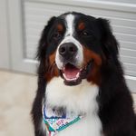 Aarón Bernés de la Montaña🐾 - @aaron_bernes - Instagram