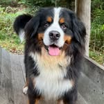 @aaron.berner.sennen - Instagram