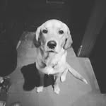 Aaron Bertin - @bertinaaron201 - Instagram