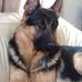 Aaron Bertmeyer - Facebook