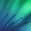 aaronbertsch0 - @aaronbertsch0 - TikTok
