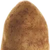 Aaron Berwick - @thespiciestpotato - TikTok