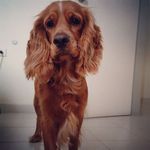 Aaron - @aaron_beta - Instagram