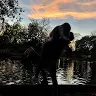 Aaron Betancor - @aaronbetancor - TikTok