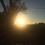 Aaron Betancourt - @aaronbetancourt3 - Instagram