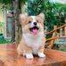 Aaron Beth - Facebook