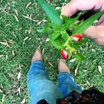 Aaron Beth Butterworth - @ljgmomma - Instagram