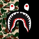 Aaron Beveridge - @aaron.beveridge.505 - Instagram