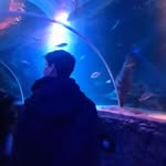 Aaron Beyens - @aaronbeyens - Instagram
