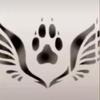 Aaron Beynon - @aaron_beynon767 - TikTok
