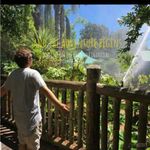 Aaron Bhandal - @aaron_bhandal - Instagram