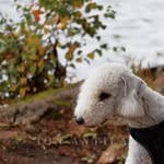 Aaron Bianco - @aaronbianco8 - Instagram