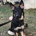Aaron Bivens - @aaron.bivens - Instagram