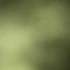 aaronbiby8 - @aaronbiby8 - TikTok