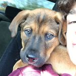 Aaron Bice - @aaronbxce - Instagram