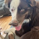 Aaron Bickell - @aaronbickell - Instagram