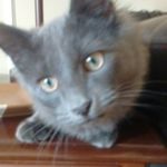 Aaron M. Biddle - @aaronm.biddl - Instagram