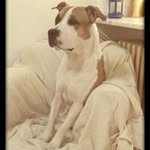 Aaron Bigboy - @aaron.bigboy - Instagram