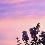 Aaron Lezama - @big.boyaaron - Instagram