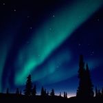 Aaron Bihm - @aaronbihm - Instagram