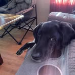 Aaron Bilek - Facebook